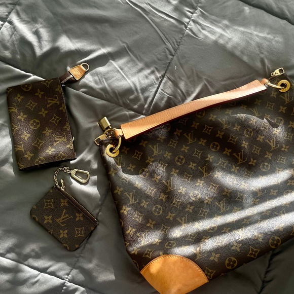 Louis Vuitton Berri PM Hobo bag - Picture 1 of 4